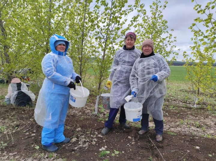 Тукаевский район: Азьмушкинское сельское поселение продолжает двухмесячник по санитарной очистке и благоустройству территории