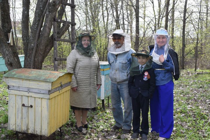 Тукаевский район: Пчелы – источник жизни