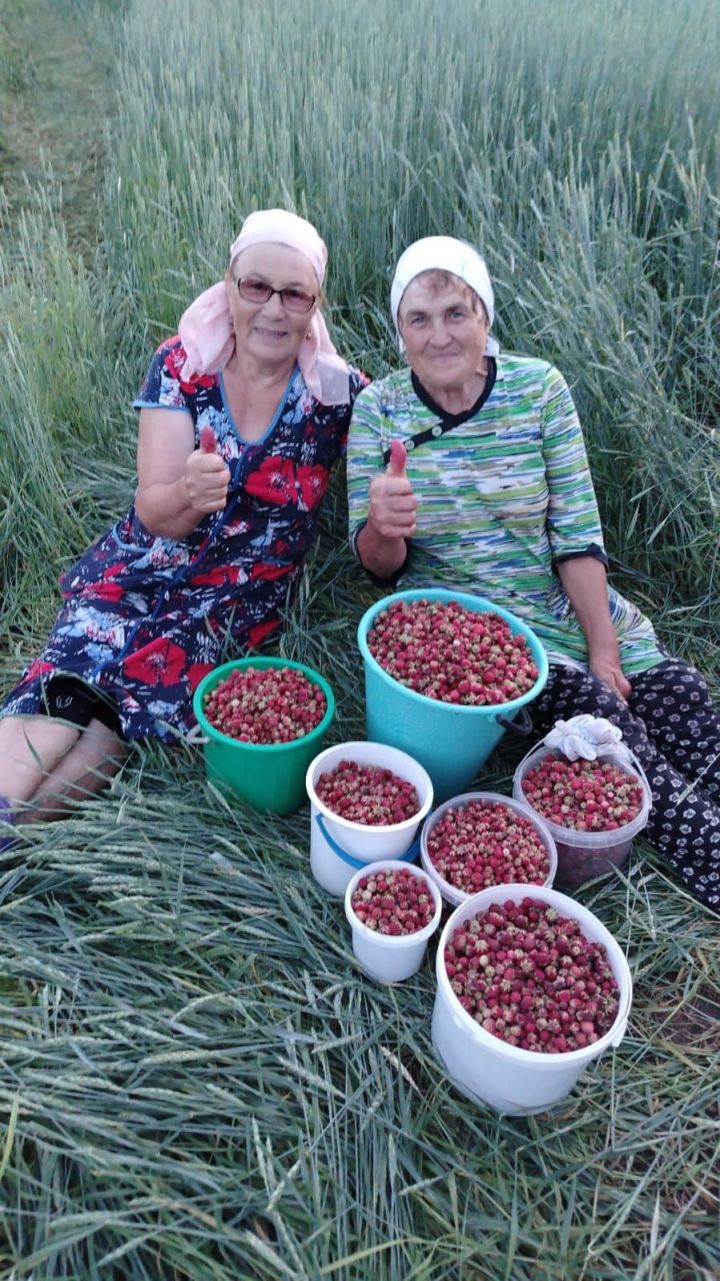 «Ялкауланмаска гына кирәк»