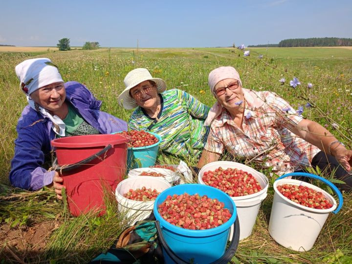 «Ялкауланмаска гына кирәк»