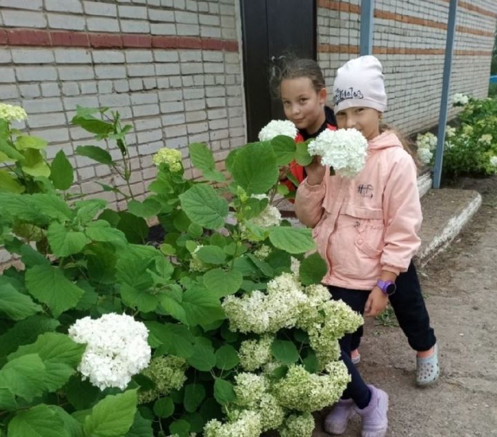 Цветы в наших сердцах: экологическая акция в Калмашской школе
