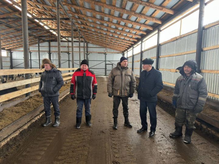 Руководитель Исполнительного комитета Камиль Назмиев посетил ряд сельскохозяйственных предприятий