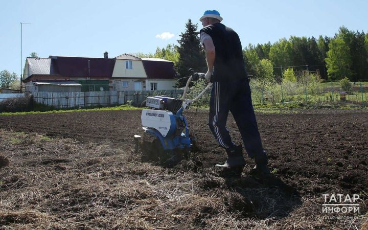 Новый закон - участок должен быть приведен в порядок