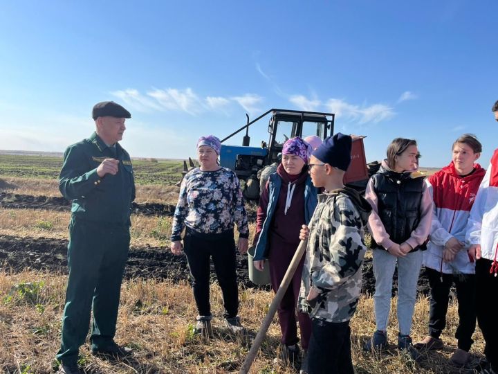 Алабуга урманчылыгы: урман байлыкларын саклау һәм арттыру