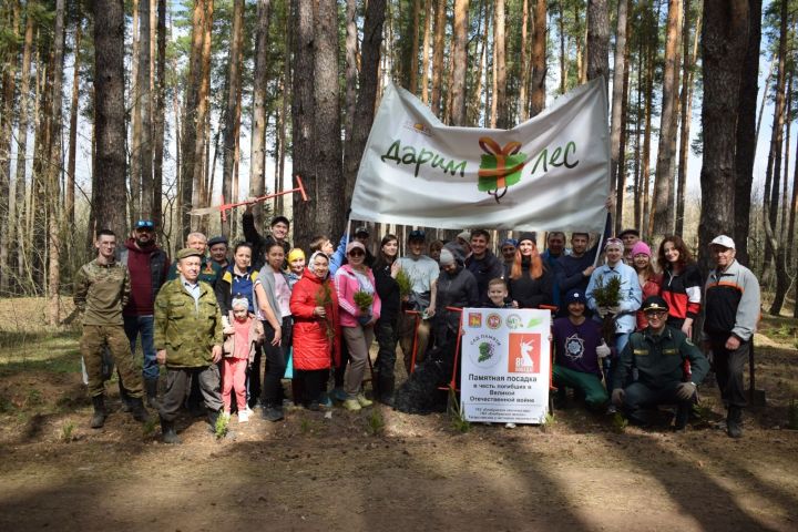 Киләчәк өчен 2000 агач: Тукай районында зур күләмдә чыршы утырту узды