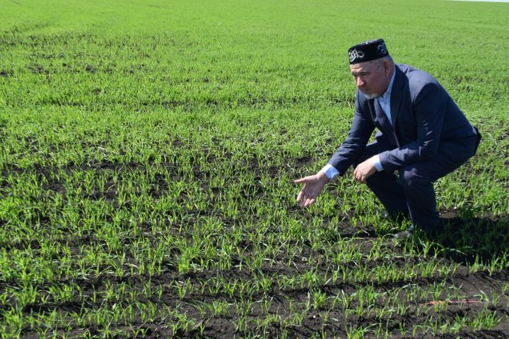 Пусть на столе у каждой семьи будут овощи!