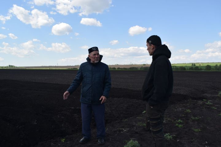 Пусть на столе у каждой семьи будут овощи!