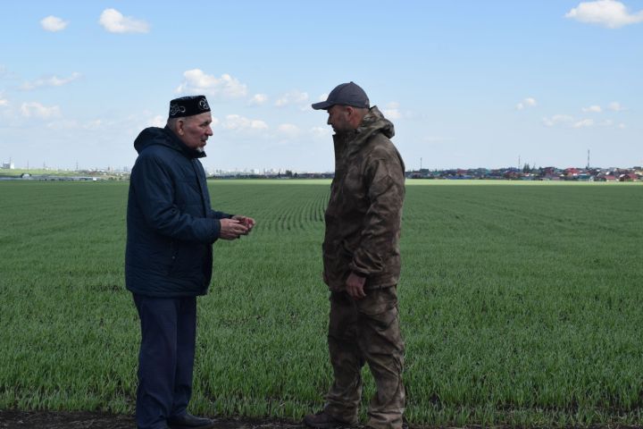 Пусть на столе у каждой семьи будут овощи!