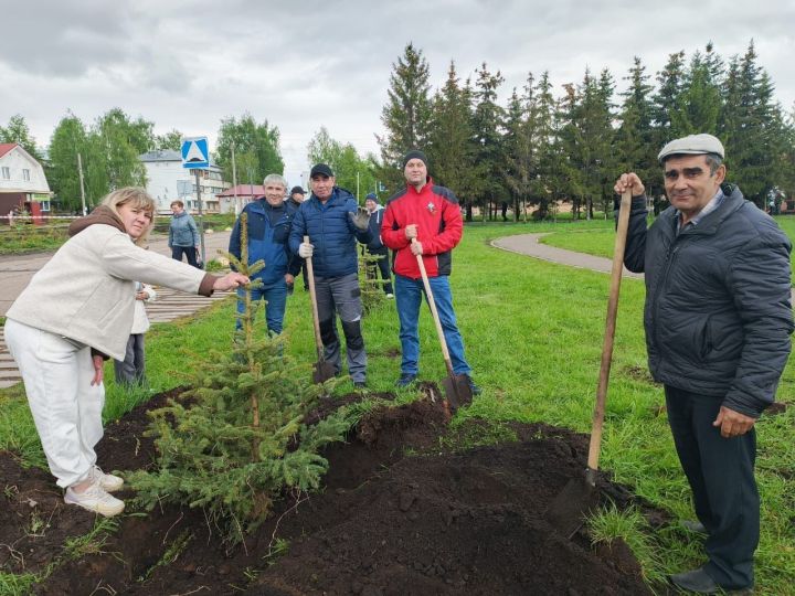 Акция «Дерево Победы» в парке «Зелёный островок».