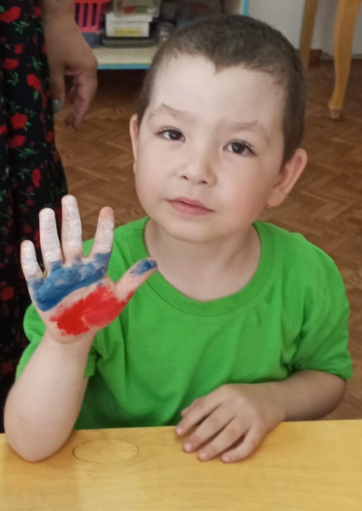 Мы рисуем в ладошке нашу страну!