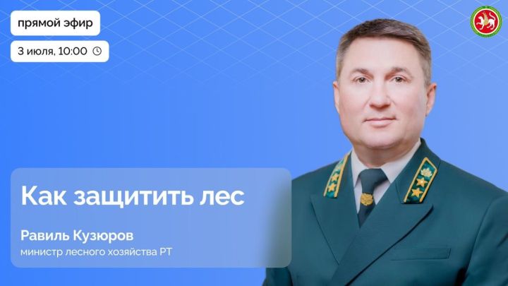 Лес под угрозой: болезни, вредители и незаконные рубки. Кто защитит?