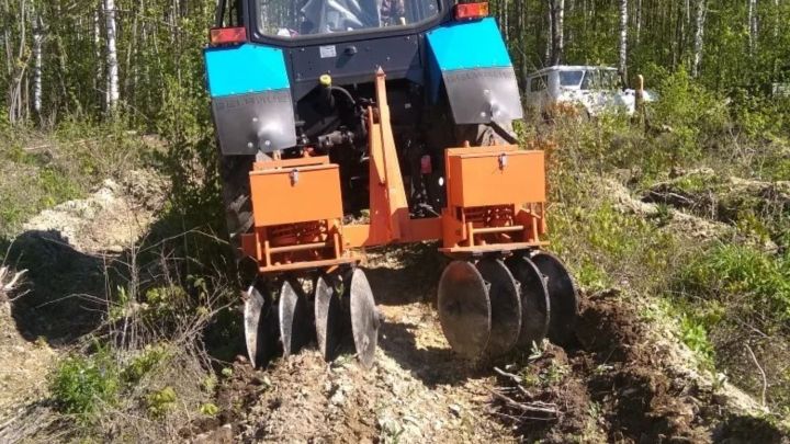 В Татарстане активно ведется агротехнический уход за лесными культурами