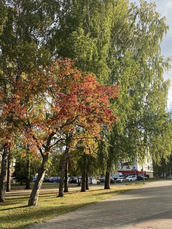 До +20 градусов и южный ветер прогнозируют в Татарстане