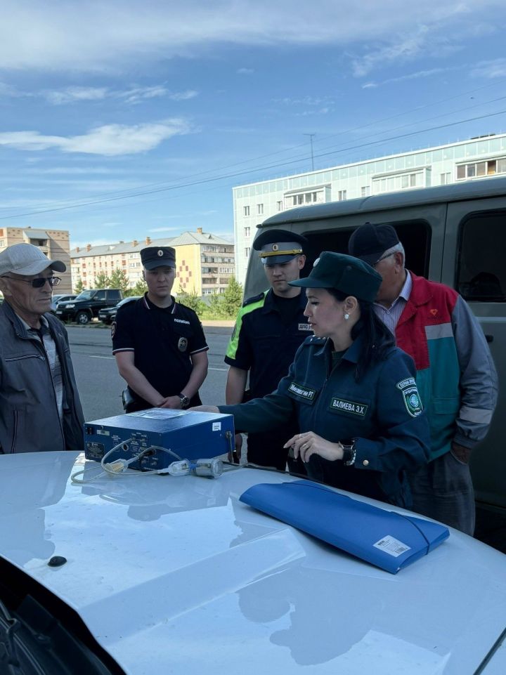 Экологи назвали транспорт, который чаще превышает нормы вредных выбросов