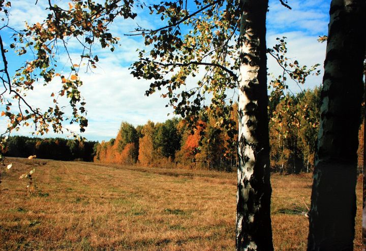 Татарстанда көндез +14 градуска кадәр җылы булачак