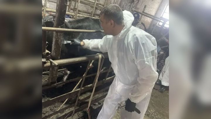 В Тукаевском районе провели комплексные противоэпизоотические мероприятия на хозяйстве ООО СХП «Ярыш»