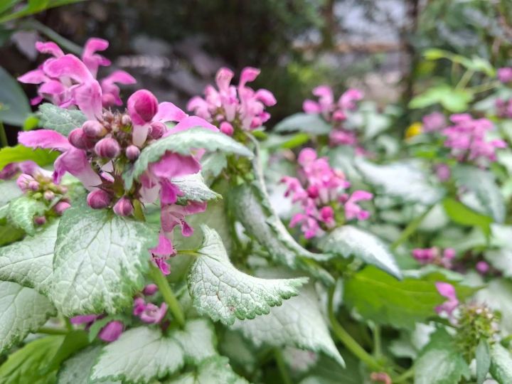 Бүген яңгырлы һәм эссе һава торышы көтелә
