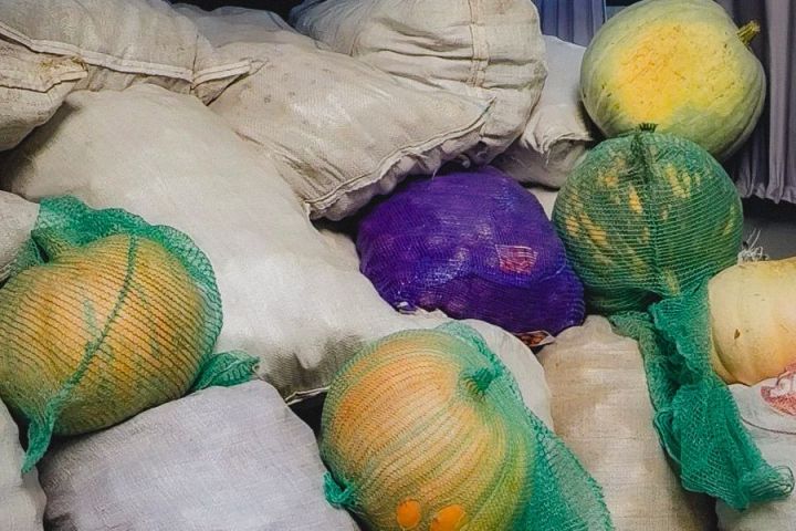 Татарстанда 19 сентябрьдә Гошер көне узачак