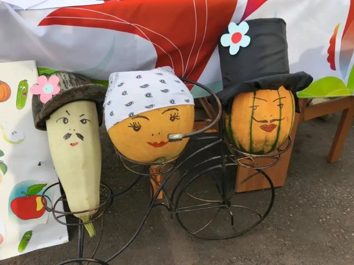 Теләнче-Тамакта узган бакчачылар бәйрәмендә гигант кабаклар шаккатырды